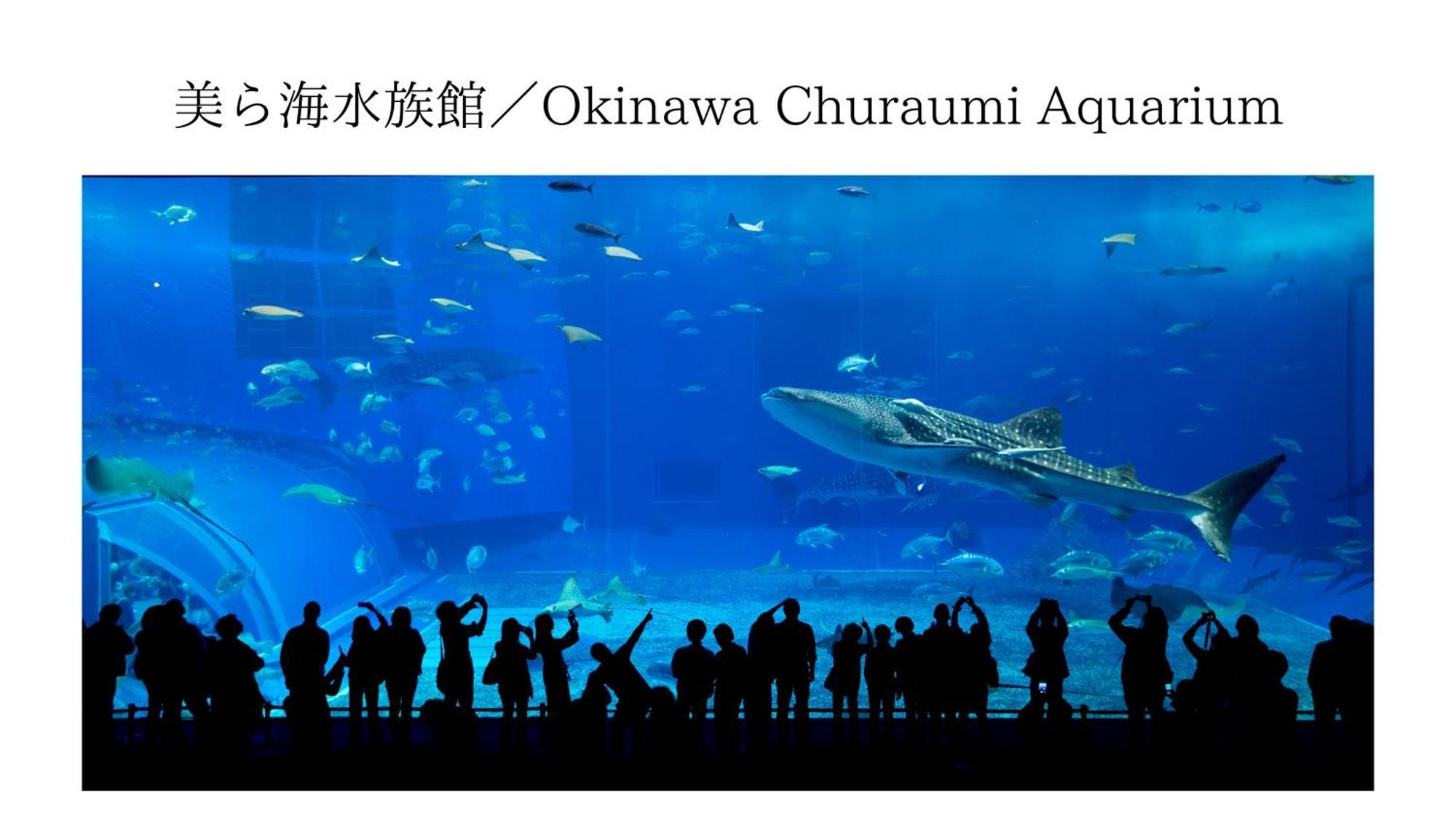 Aqua Shallows Onna Buitenkant foto